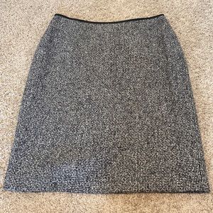 Winter Skirt